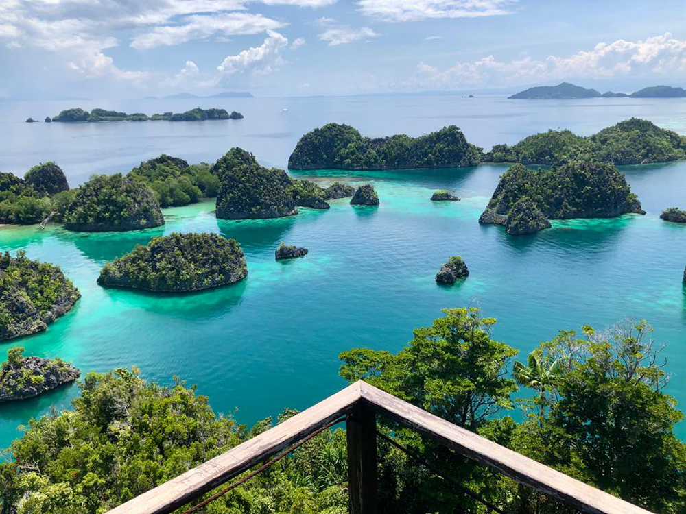 The line of karst rocks protruding from the ocean is the main attraction in Raja Ampat.